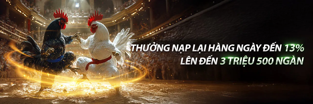 Đá Gà Trực Tuyến 678bet Khuyến Mãi
